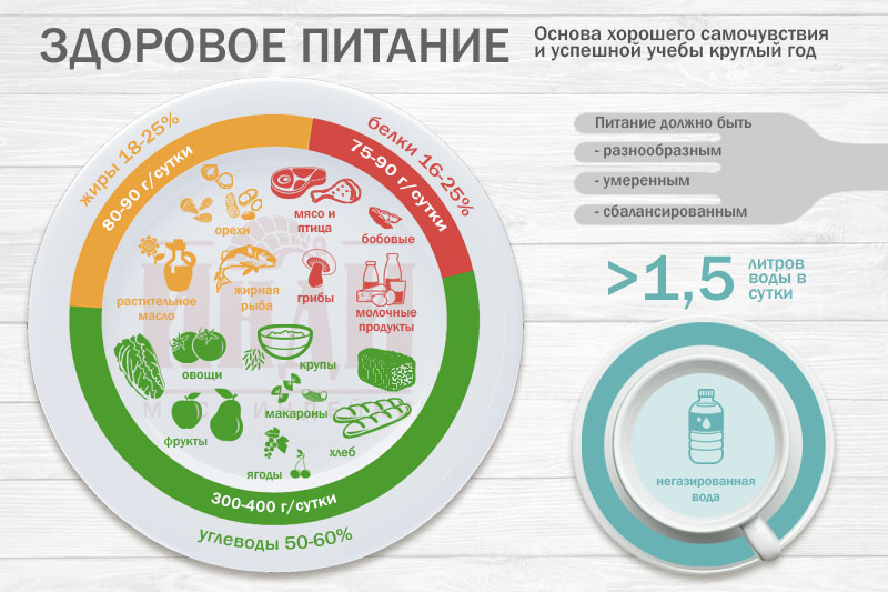 Санитарно-просветительская программа &amp;quot;Основы здорового питания&amp;quot;.